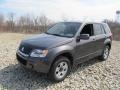 Slate Gray Metallic 2011 Suzuki Grand Vitara Premium 4x4 Exterior