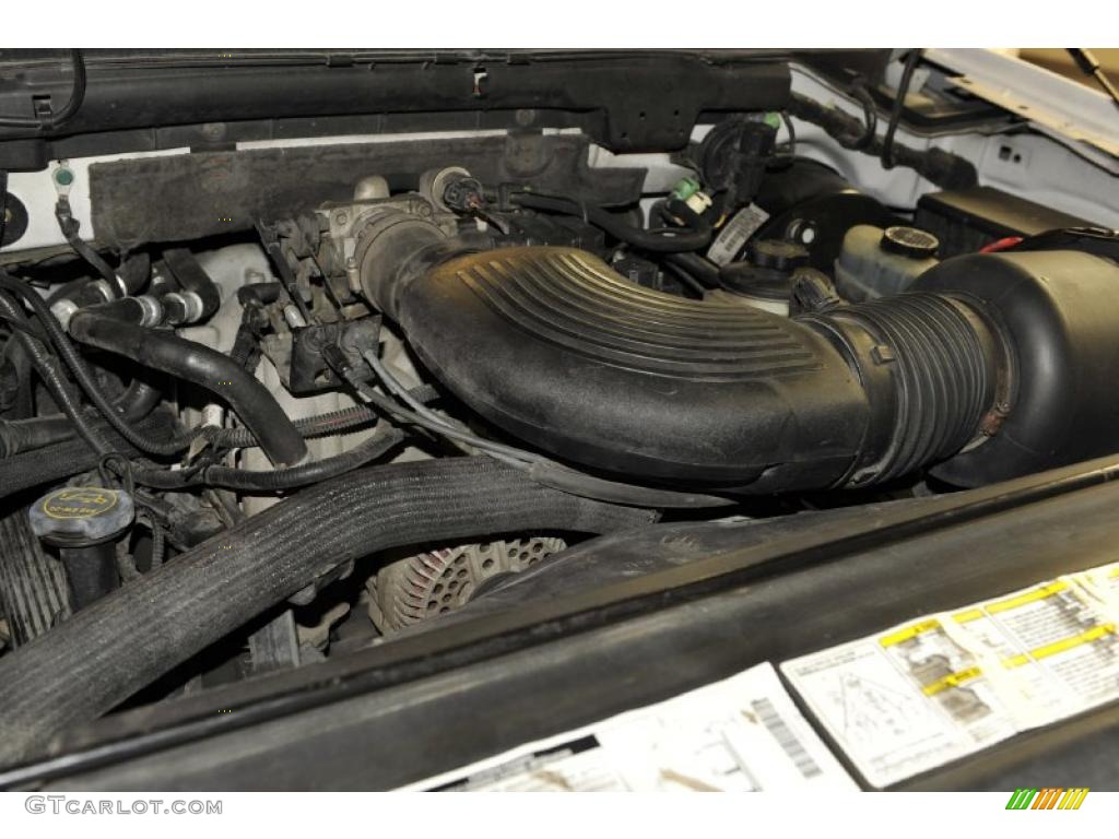 2002 Ford Expedition XLT 4.6L SOHC V8 Engine Photo #47719748