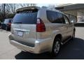 Savannah Beige Metallic - GX 470 Photo No. 6