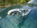 British Racing Green - X-Type 3.0 Photo No. 22