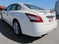 Winter Frost White - Maxima 3.5 SV Photo No. 3