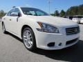 Winter Frost White - Maxima 3.5 SV Photo No. 7