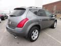 Platinum Metallic - Murano SL AWD Photo No. 8