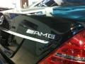 Almandine Black Metallic - S 65 AMG Sedan Photo No. 4