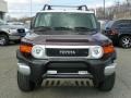 Black Cherry Pearl - FJ Cruiser 4WD Photo No. 26