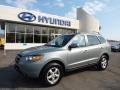 2008 Platinum Sage Hyundai Santa Fe GLS  photo #1