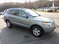 2008 Platinum Sage Hyundai Santa Fe GLS  photo #5