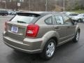 Light Khaki Metallic - Caliber SE Photo No. 2