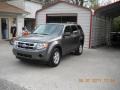 2009 Sterling Grey Metallic Ford Escape XLS  photo #18