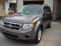 2009 Sterling Grey Metallic Ford Escape XLS  photo #19