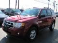 2009 Sangria Red Metallic Ford Escape XLT  photo #24