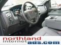 2011 Blue Flame Metallic Ford F150 XLT SuperCrew 4x4  photo #10