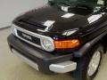Black Diamond - FJ Cruiser 4WD Photo No. 4