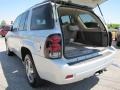 2007 Moondust Metallic Chevrolet TrailBlazer LT  photo #14