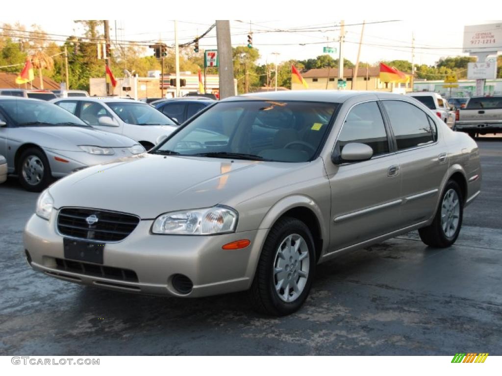 2000 Nissan maxima interior colors