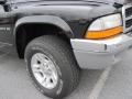 2001 Black Dodge Dakota SLT Quad Cab 4x4  photo #4