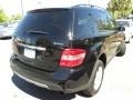 Black - ML 350 4Matic Photo No. 14
