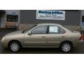 Iced Cuppuccino Metallic - Sentra GXE Photo No. 2