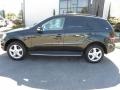 Verde Brook Metallic - ML 350 4Matic Photo No. 2