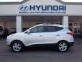 Diamond Silver 2010 Hyundai Tucson GLS AWD Exterior
