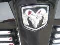 2011 Dodge Nitro Detonator Badge and Logo Photo