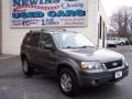 2005 Dark Shadow Grey Metallic Ford Escape Limited 4WD  photo #6