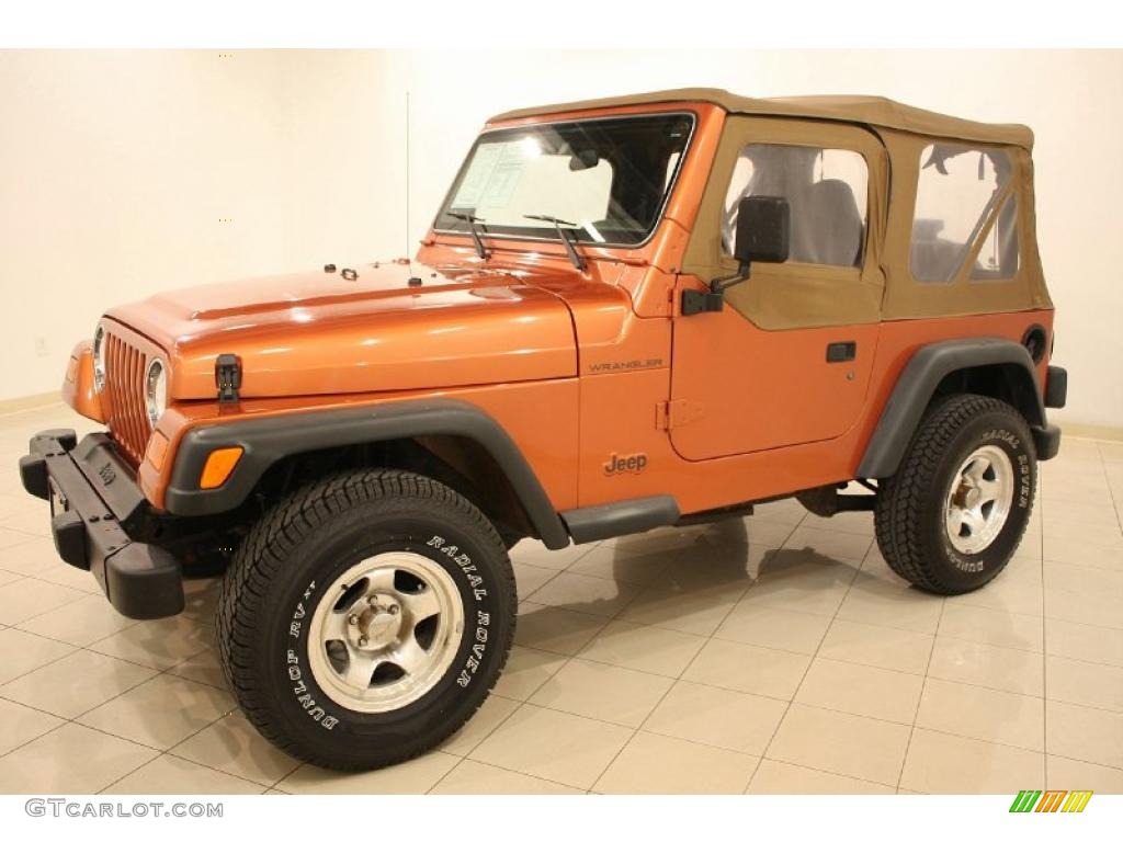 2001 Wrangler SE 4x4 - Amber Fire Pearl / Agate Black photo #3