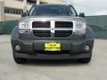 Light Khaki Metallic - Nitro SXT Photo No. 9