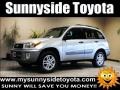 Titanium Metallic - RAV4 4WD Photo No. 1