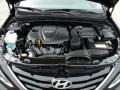 Midnight Black - Sonata GLS Photo No. 15