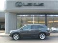 Smokey Granite - RX 350 AWD Photo No. 2