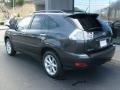 Smokey Granite - RX 350 AWD Photo No. 3