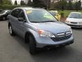2008 Glacier Blue Metallic Honda CR-V EX 4WD  photo #5