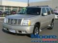 Quicksilver - Escalade AWD Photo No. 1