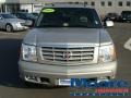 Quicksilver - Escalade AWD Photo No. 2