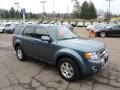 2010 Steel Blue Metallic Ford Escape Limited V6 4WD  photo #6