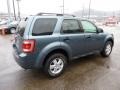 2010 Steel Blue Metallic Ford Escape XLT 4WD  photo #4