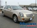 Sand Storm - CTS Sedan Photo No. 3