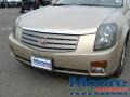 Sand Storm - CTS Sedan Photo No. 4