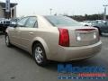 Sand Storm - CTS Sedan Photo No. 6