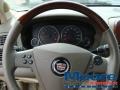 Sand Storm - CTS Sedan Photo No. 21