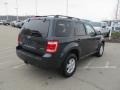 Black Pearl Slate Metallic - Escape XLT V6 4WD Photo No. 10