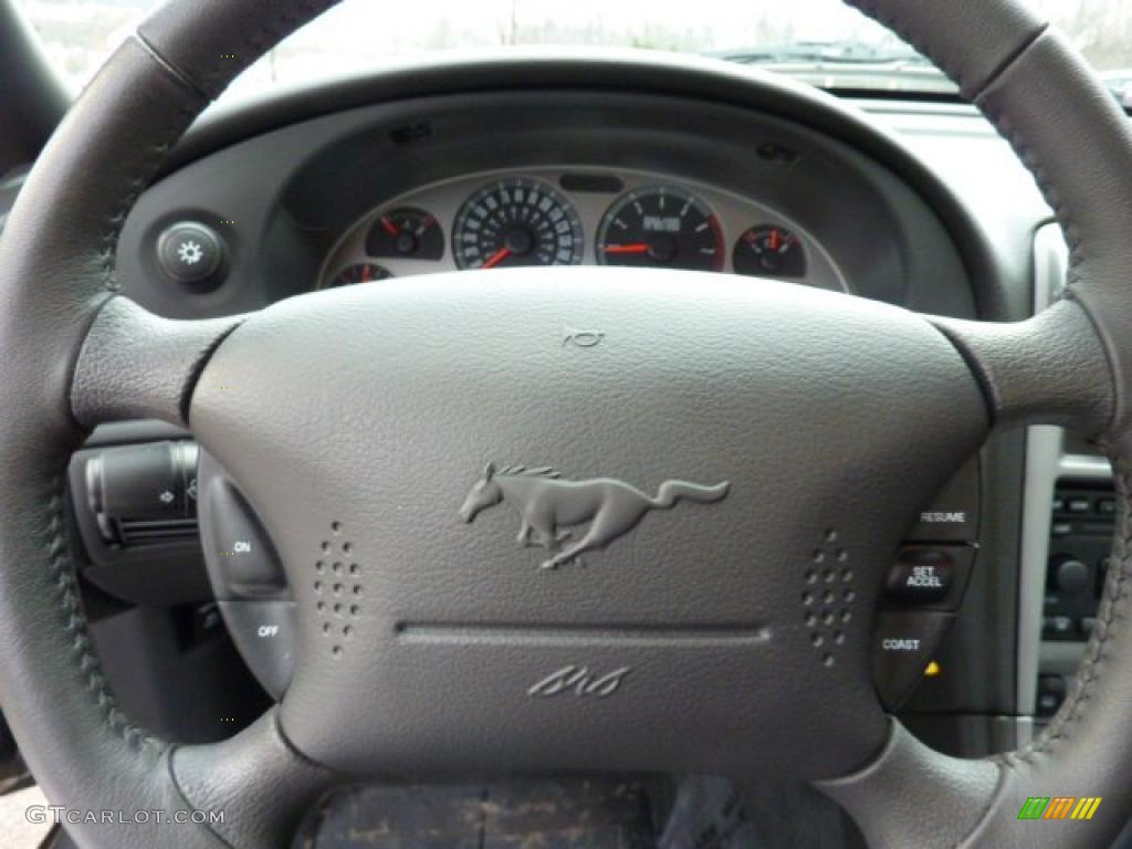 2003 Mustang Mach 1 Coupe - Dark Shadow Grey Metallic / Dark Charcoal photo #19