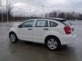 Stone White - Caliber SXT Photo No. 4