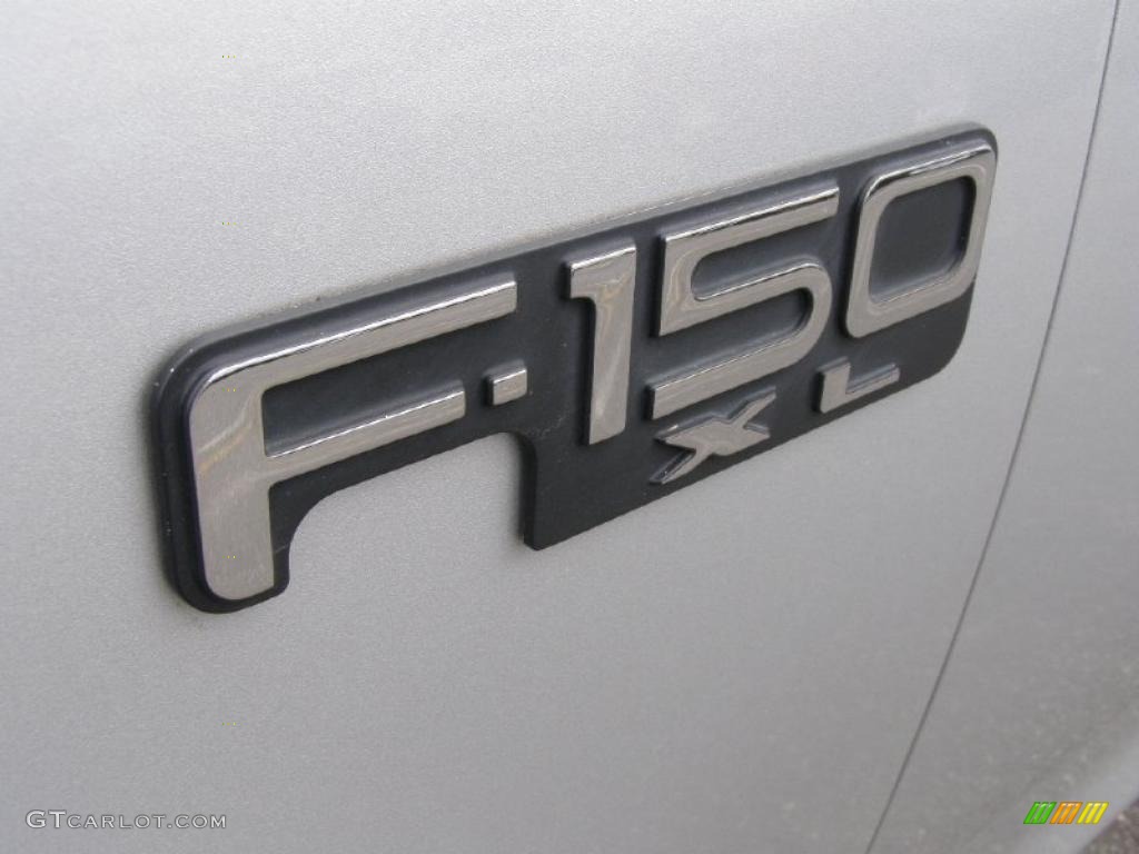 2002 F150 XL Regular Cab 4x4 - Silver Metallic / Medium Graphite photo #4