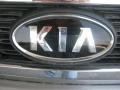 2011 Titanium Silver Kia Sedona LX  photo #24