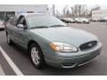 Light Tundra Metallic - Taurus SEL Photo No. 7