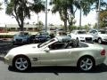 designo Silver Metallic - SL 500 Roadster Photo No. 9