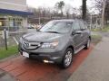 Nimbus Gray Metallic - MDX Technology Photo No. 1