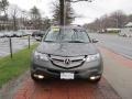 Nimbus Gray Metallic - MDX Technology Photo No. 2